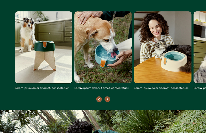 Boske — E-commerce, imagem 5