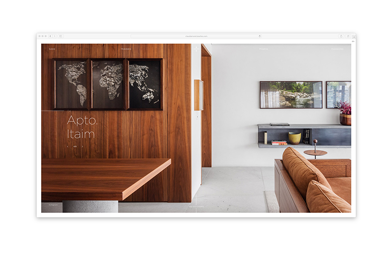 Claudia Moreira Salles — Website, imagem 3