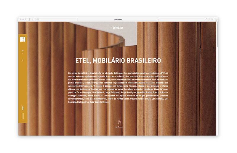 ETEL — Website, imagem 6