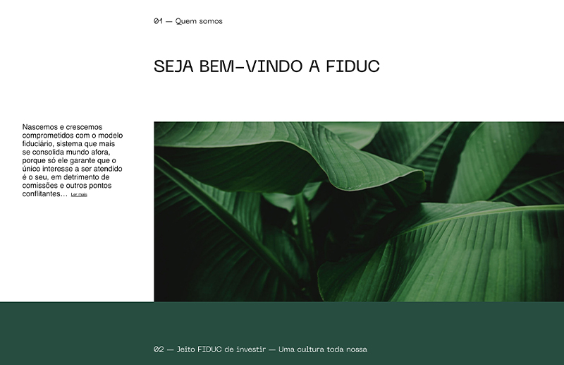 FIDUC — Website, imagem 2
