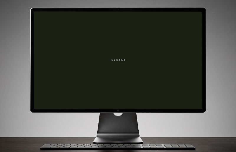 Transition screen from the Reserva Vila Rica digital experience with a dark green background and the word “SANTOS” centered on the page. The minimalist composition reinforces the development’s location and works as a narrative pause between different stages of the website experience.